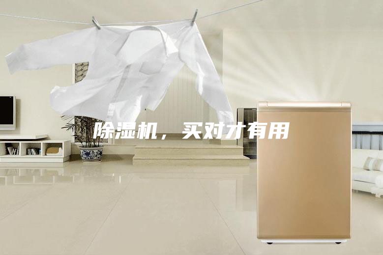 除濕機(jī)，買對(duì)才有用