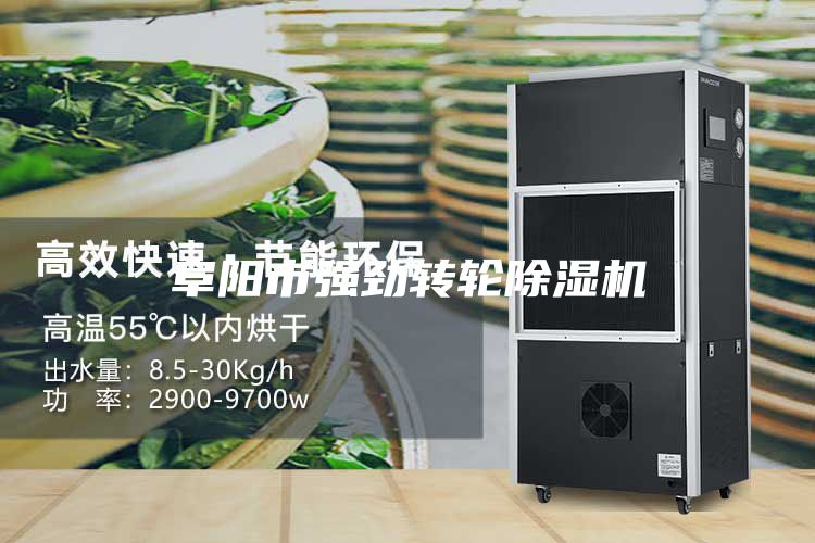阜陽市強勁轉(zhuǎn)輪除濕機