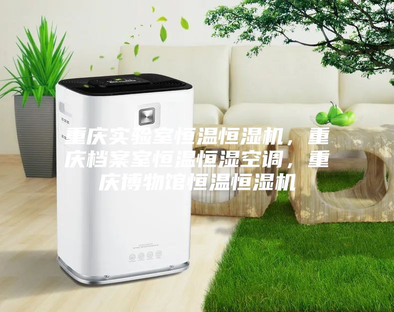 重慶實(shí)驗(yàn)室恒溫恒濕機(jī)，重慶檔案室恒溫恒濕空調(diào)，重慶博物館恒溫恒濕機(jī)