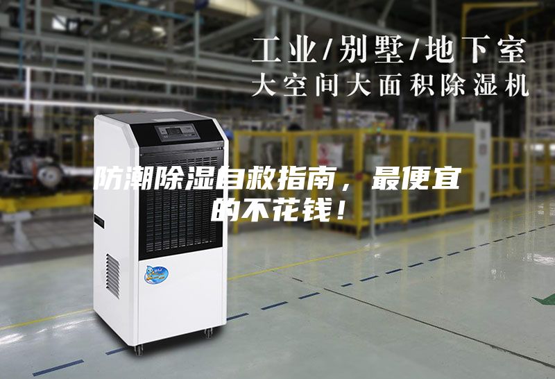 防潮除濕自救指南，最便宜的不花錢！