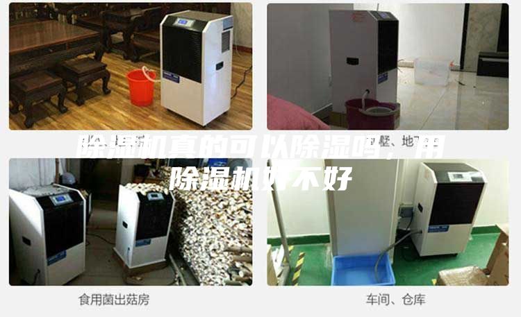 除濕機真的可以除濕嗎，用除濕機好不好