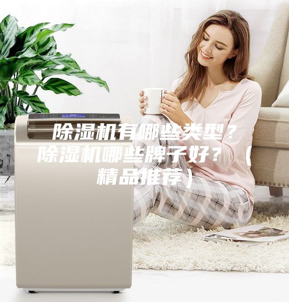 除濕機有哪些類型？除濕機哪些牌子好？（精品推薦）