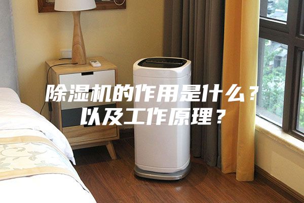 除濕機的作用是什么？以及工作原理？