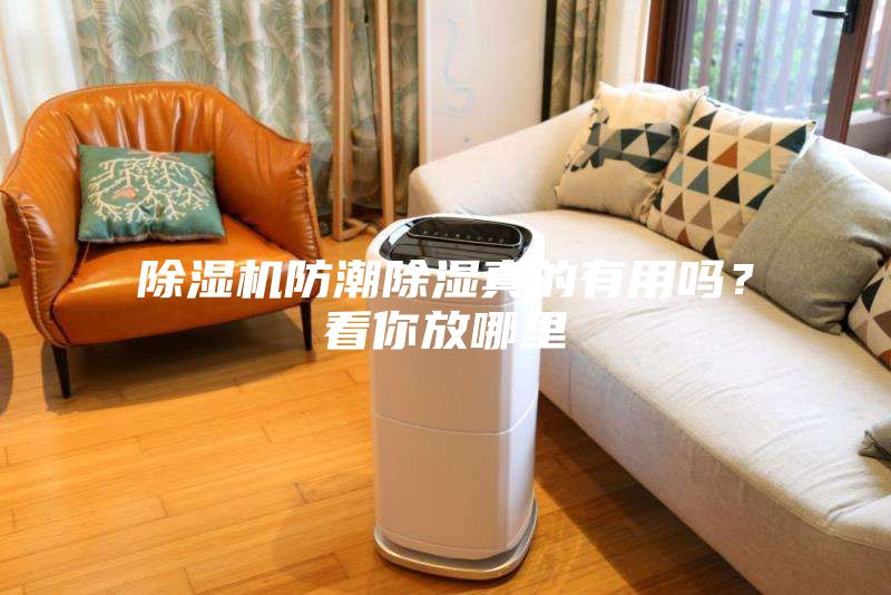 除濕機(jī)防潮除濕真的有用嗎？看你放哪里