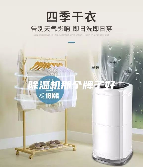 除濕機(jī)那個牌子好