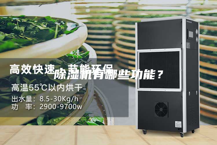 除濕機有哪些功能？