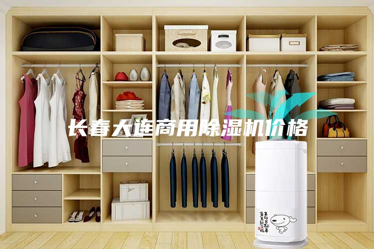 長春大連商用除濕機價格