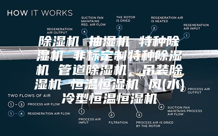 除濕機 抽濕機 特種除濕機 非標定制特種除濕機 管道除濕機、吊裝除濕機 恒溫恒濕機 風(水)冷型恒溫恒濕機