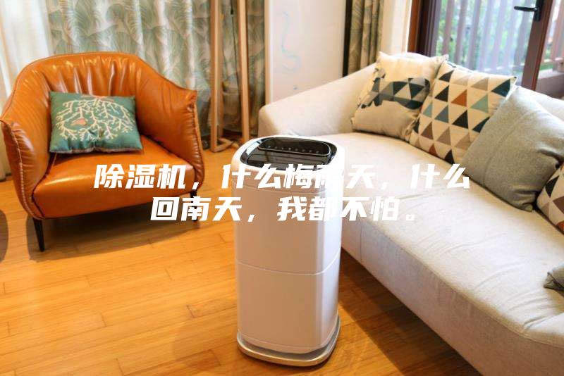 除濕機(jī)，什么梅雨天，什么回南天，我都不怕。
