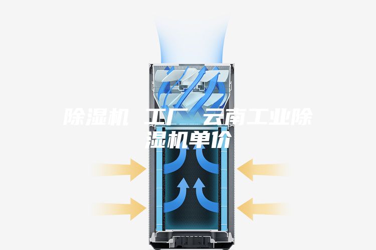 除濕機 工廠 云南工業除濕機單價
