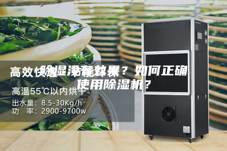 除濕沒有效果？如何正確使用除濕機？