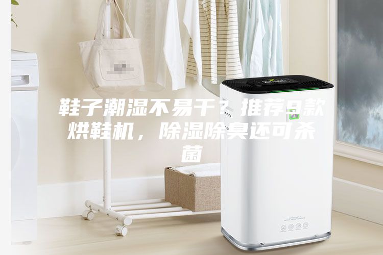 鞋子潮濕不易干？推薦9款烘鞋機(jī)，除濕除臭還可殺菌