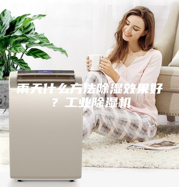 雨天什么方法除濕效果好？工業除濕機
