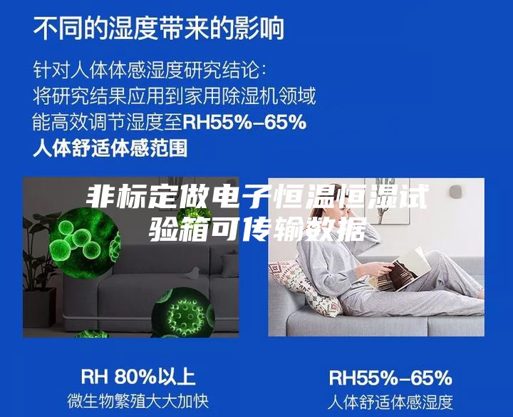非標定做電子恒溫恒濕試驗箱可傳輸數據
