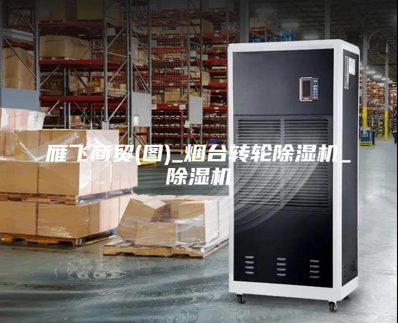 雁飛商貿(圖)_煙臺轉輪除濕機_除濕機