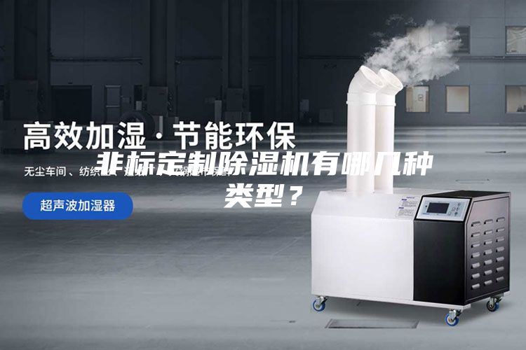 非標(biāo)定制除濕機(jī)有哪幾種類型？