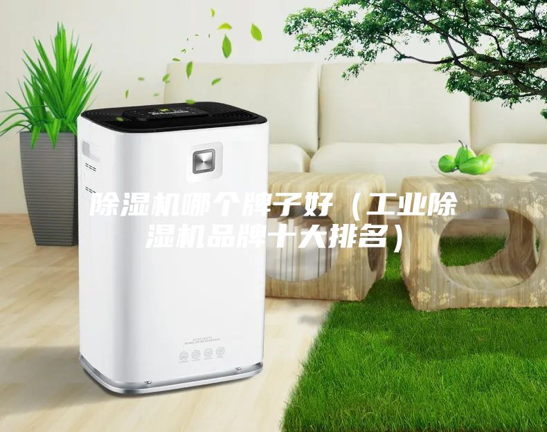 除濕機哪個牌子好（工業除濕機品牌十大排名）