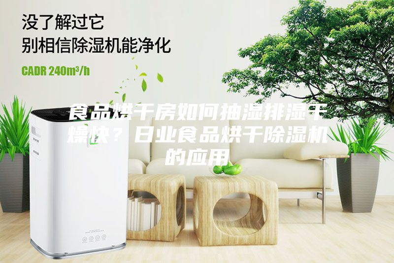 食品烘干房如何抽濕排濕干燥快？日業(yè)食品烘干除濕機的應(yīng)用