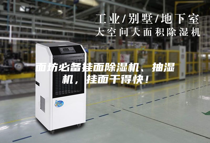 面坊必備掛面除濕機(jī)、抽濕機(jī)，掛面干得快！