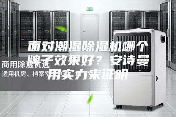 面對潮濕除濕機(jī)哪個牌子效果好？安詩曼用實(shí)力來證明