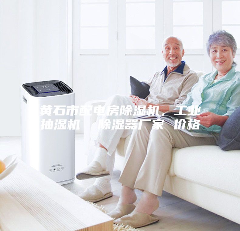 黃石市配電房除濕機，工業抽濕機  除濕器廠家 價格