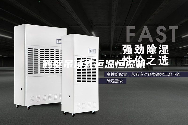鶴壁吊頂式恒溫恒濕機