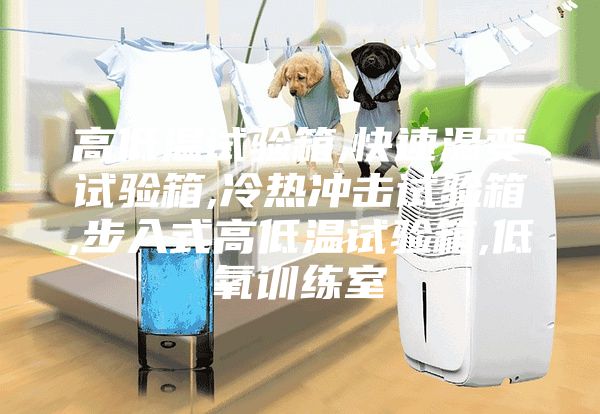 高低溫試驗箱,快速溫變試驗箱,冷熱沖擊試驗箱,步入式高低溫試驗箱,低氧訓練室
