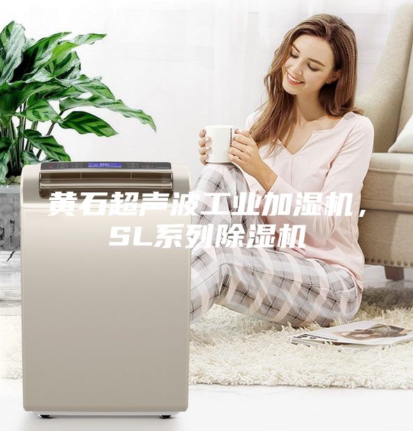 黃石超聲波工業加濕機，SL系列除濕機