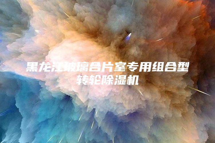 黑龍江玻璃合片室專用組合型轉輪除濕機